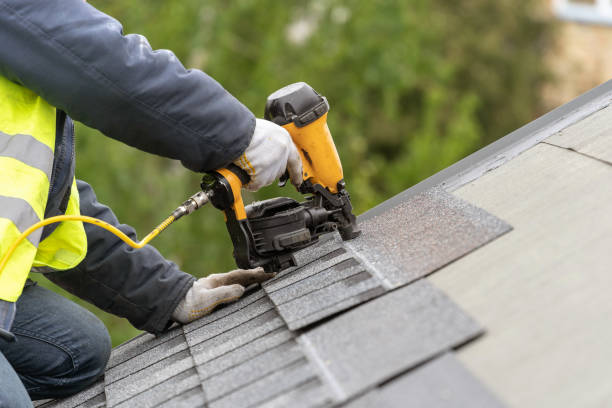 Best Solar Panel Roofing Installation  in Bellevue, NE