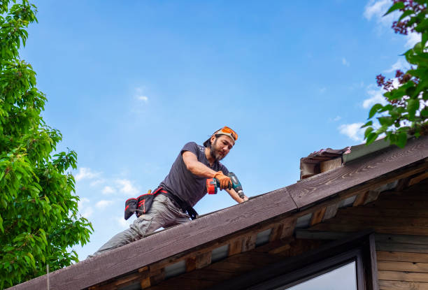Best Skylight Installation and Repair  in Bellevue, NE